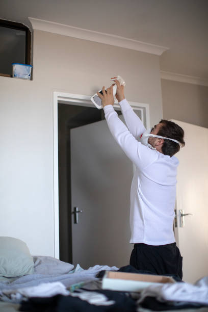 Best Commercial Mold Inspection  in Hastings, MI