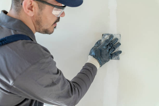 Best Mold Removal for HVAC Installations  in Hastings, MI