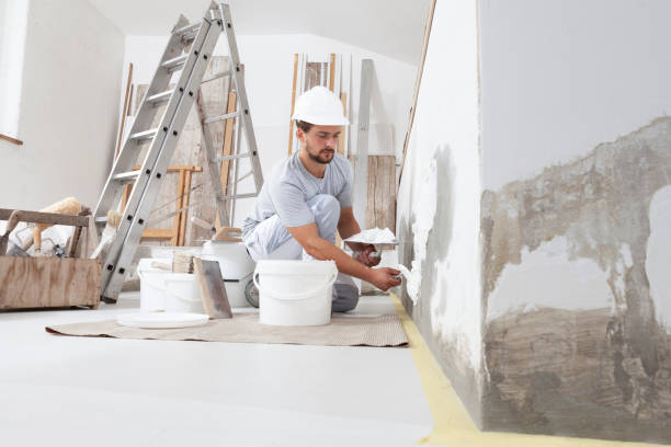 Best Crawl Space Mold Remediation  in Hastings, MI