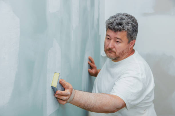 Best Water Damage & Mold Remediation  in Hastings, MI